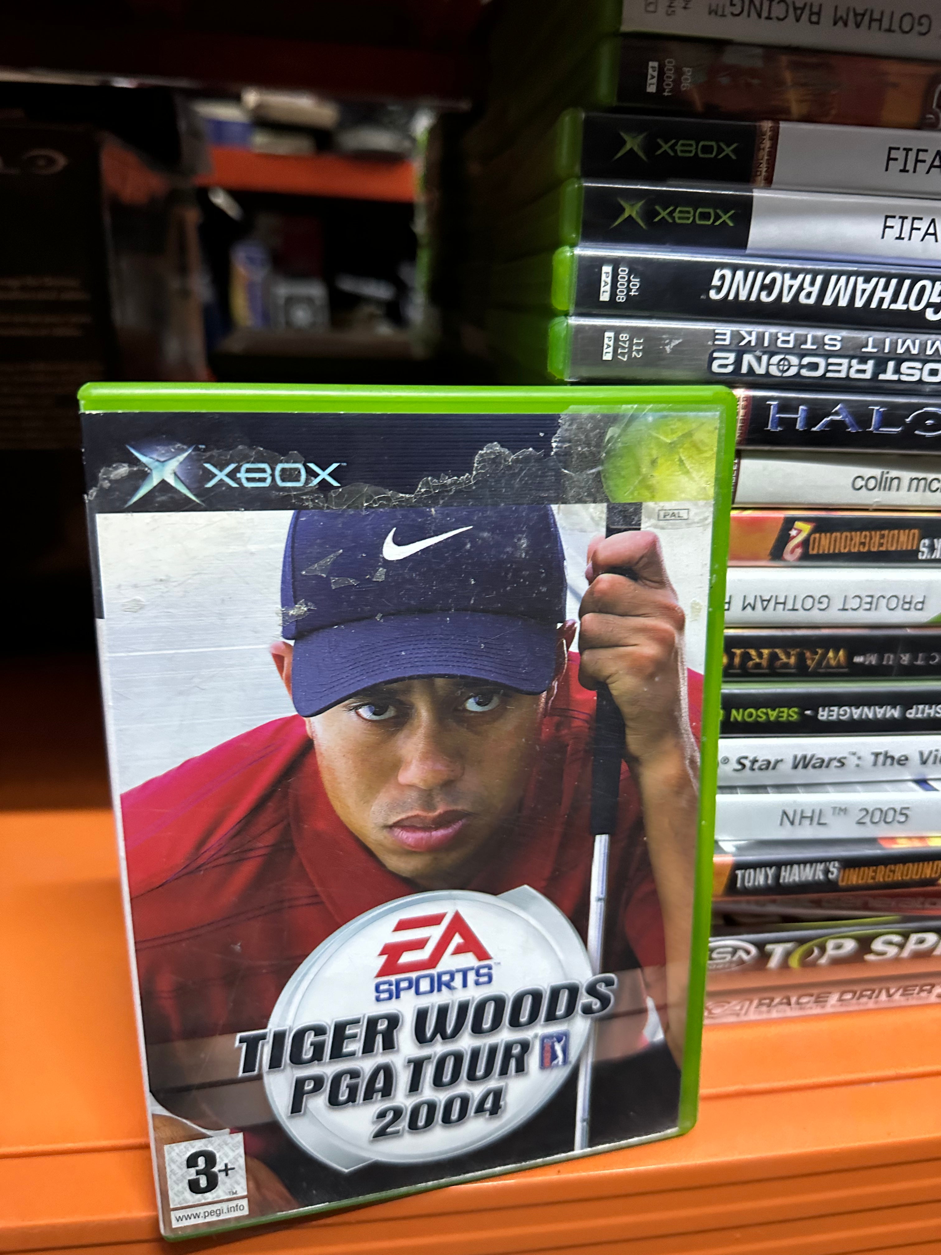 Tiger Woods PGA Tour 2004